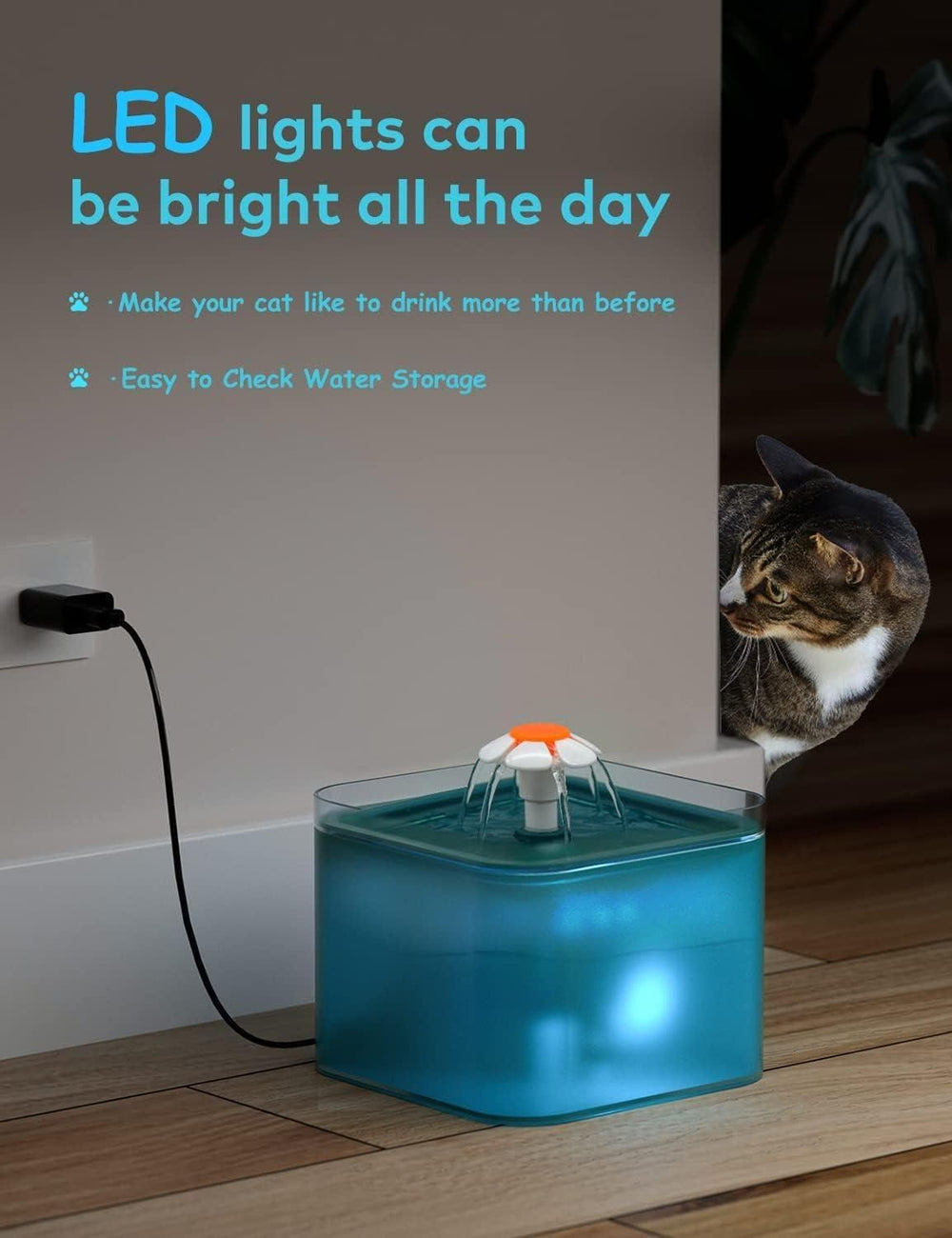 2L Small Pet Water Fountain for Kitten & Small Dogs